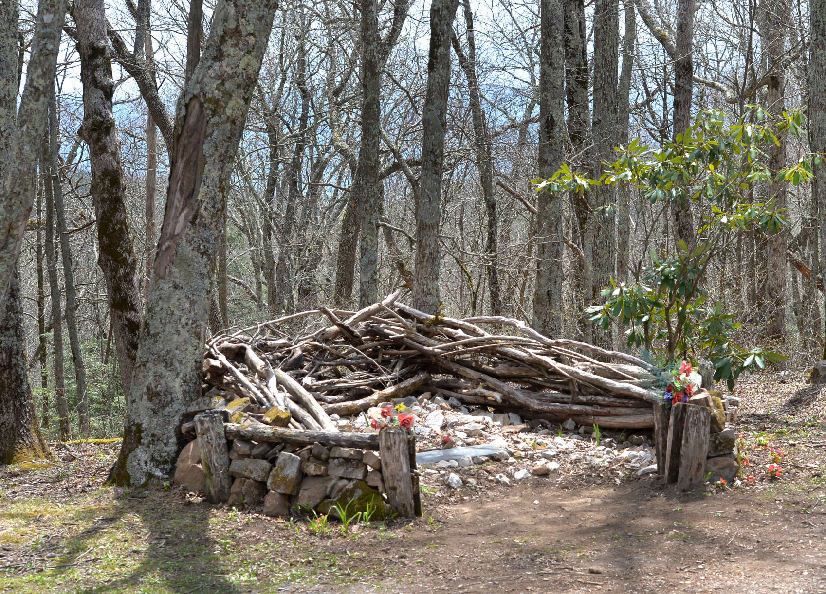 BHC 04212019 Holston Mnt Plane Crash 05